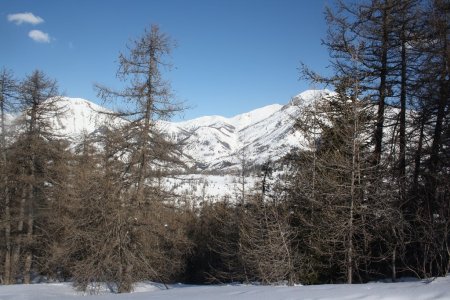 Vue entre les arbres sur le vallon entre le Grand Cheval de Bois et Rochegrand.