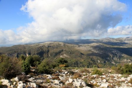 Plateau St-Barnabé