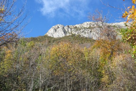 Montagne de St-Cyr