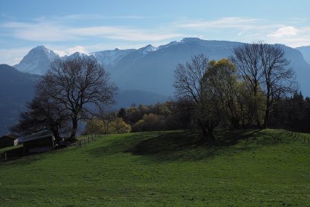 Alpage du Chênay