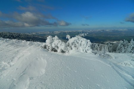 Monts du Lyonnais enneigés.