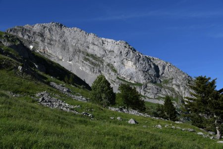 versant Sud du Pic de Jallouvre