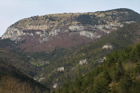 Zoom sur le versant des Rochers de Belle Motte, vus de la sortie des Reyssets, en rentrant.