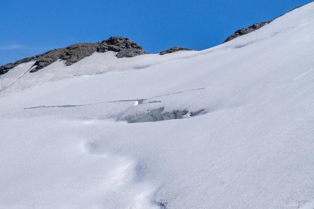 Le haut du glacier est en neige, avec quelques jolies crevaces visibles, mais combien ne le sont pas ?