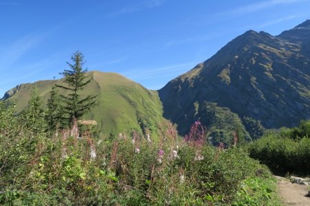 Col de Tricot, Col du Mont Lachat