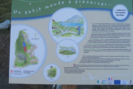 Information sur la flore près du Lac Foréant