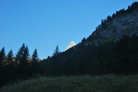 Le sommet du cône du Cervin depuis le vallon de Trift. Il est encore tôt !
