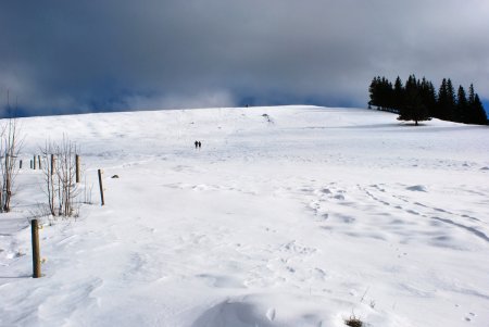 Vue arrière sur le chemin, et sur le sommet de l’Hinterwaldkopf