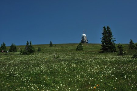 Le Feldberg vu depuis le vallon de la St-Wilhelmer Hütte