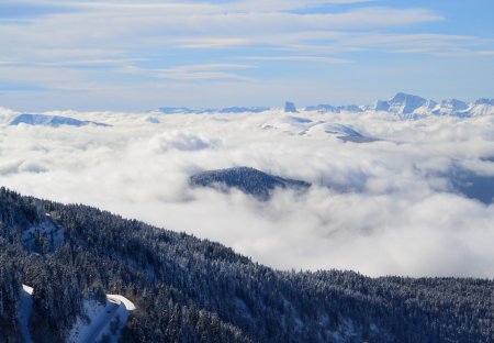 Le Mont Aiguille émerge de la mer de nuages.