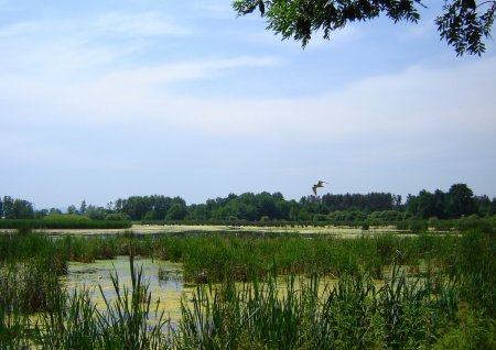 L’étang de la Ronze.