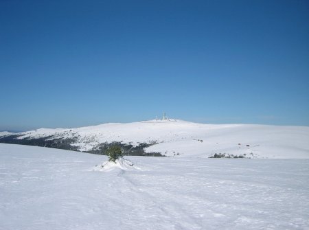 Pierre-sur-Haute vu du sommet du Monthiallier.