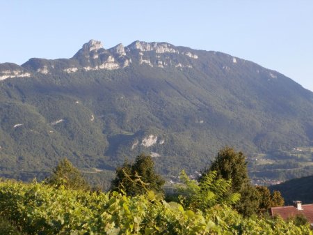 Quelques vues du mont du Chat : depuis les vignes de Gerbaz...