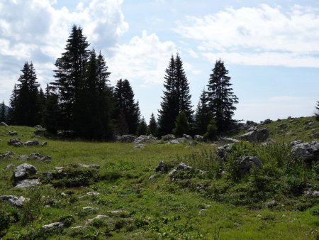 Le plan du Loup, joli décor d’herbe et de rochers.