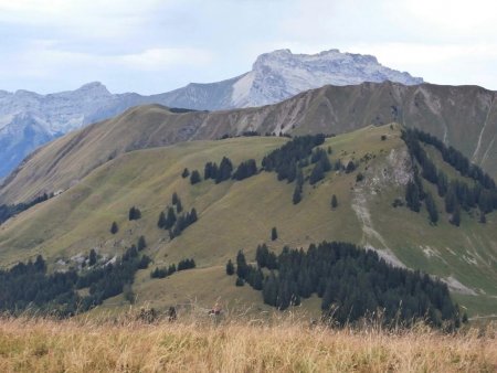 Le plan des Mouilles et sa pointe, la montagne de Sulens et la Tournette.
