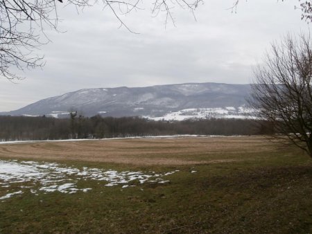 Les champs en contrebas d’Épagny et le Vuache.