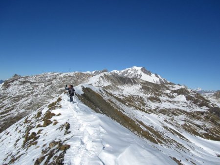 Sur fond de Mont Blanc.