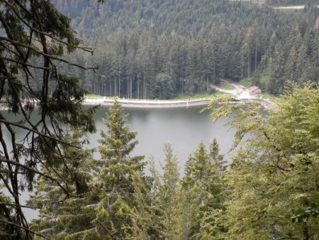 Le lac Vert au coeur de la forêt.