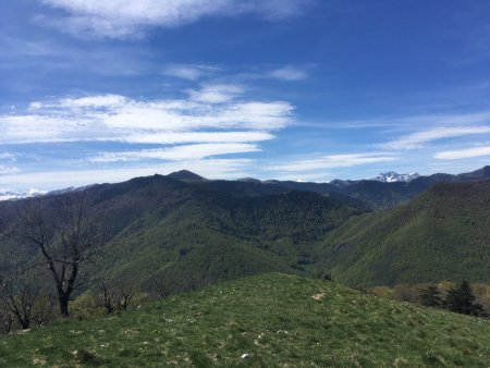 Le Mont Né et l’Arbizon, de la clairière