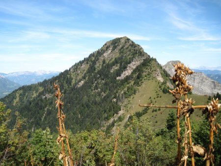 Dent de Cons et Mont Charvin.