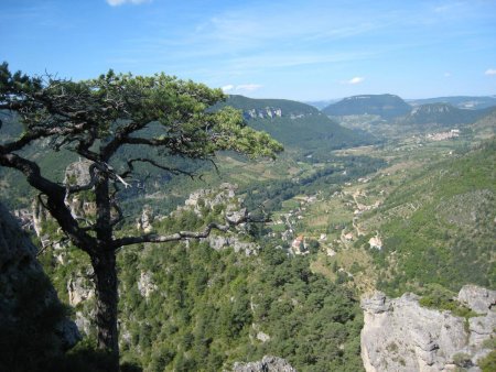 Sur le sentier Brunet, vue de la Vallée du Tarn