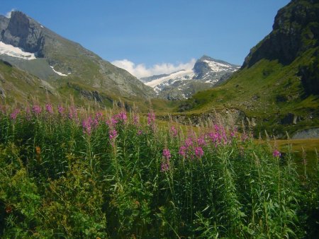 Le refuge d’Avérole, l’Ouille d’Arbéron et le Glacier d’Arnès.