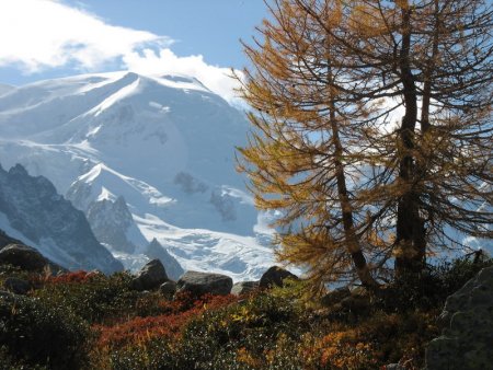 Mont Blanc du Tacul (alt. 4.248 m) vu de Blaitière