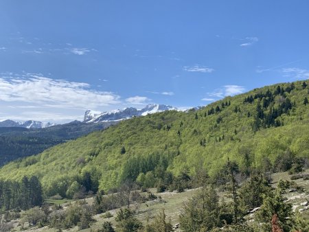 Le plateau de Bure (rétro).