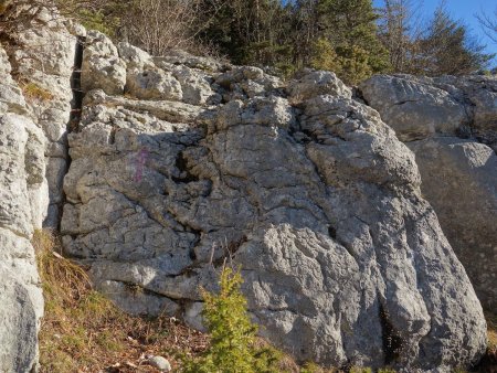 Petit mur rocheux à escalader pour rejoindre le Balcon Supérieur