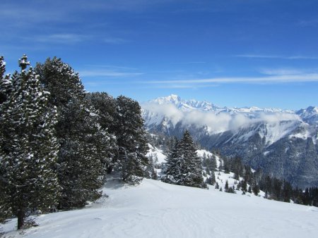Montée, au fond le Mont Blanc.