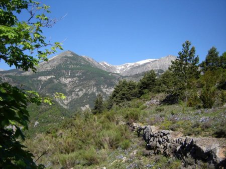 Le massif du Mont Saint-Honorat.