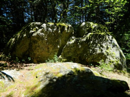 Site mégalithique de Daniecq.