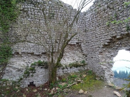 Ruines du château de Montbel