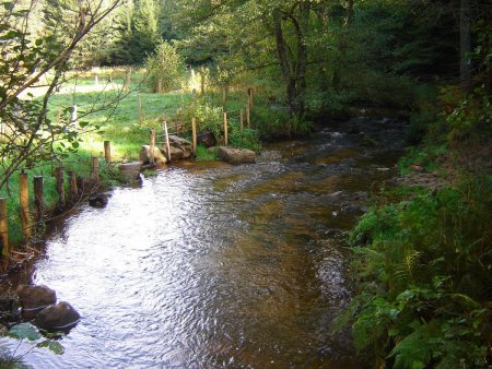 Ruisseau de Brossettes.