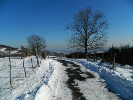 La petite route de Rochefort.