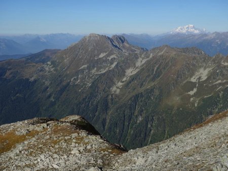 Vue sur les Grands Moulins, et au fond le Mont Blanc.