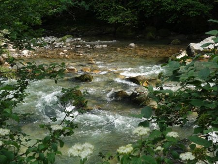 La rivière, toujours présente par sa fraîcheur et son clapotis...