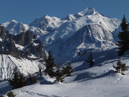 Durant la montée à la Tête de la Sallaz, regard sur le Mont Blanc.