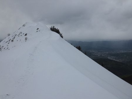 Une arête presque alpine mène au sommet.