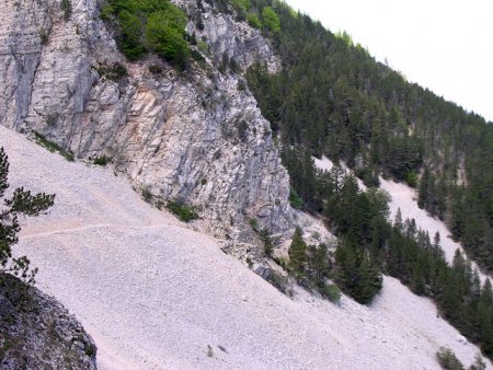 La combe de Fonfiole , versant nord du Mont-Ventoux