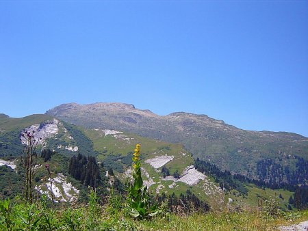 Le Grand Mont vu de la piste du Cormet d’Arêches.