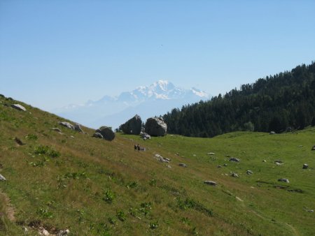 L’alpage de l’Alpette et le Mont-Blanc