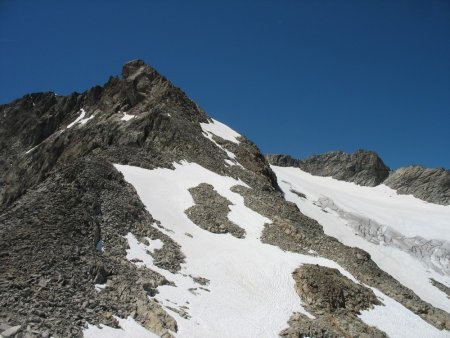 Glacier du Mont Tondu vu du Col