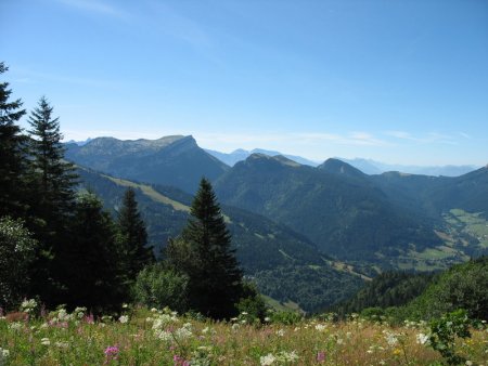 Le Col des Aures (alt. 1.631 m) et l’alpage du Plat