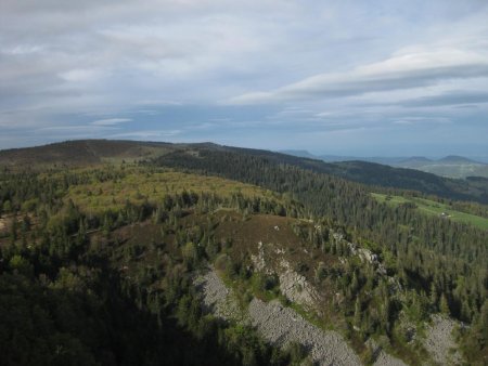 Hautes Vosges - réserve naturelle de Tanet - Gazon - Faing.