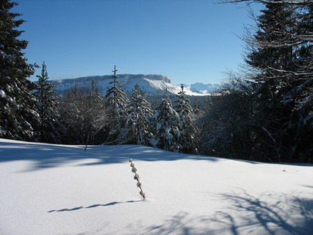 Mont Margeriaz (vu depuis le  Col des Ebats)