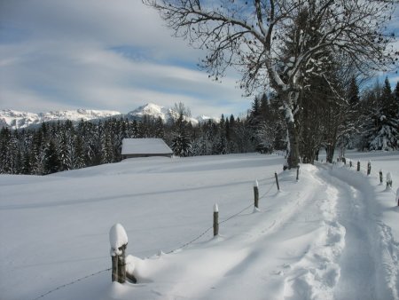 Chalet et alpage de Mariet-Dessus