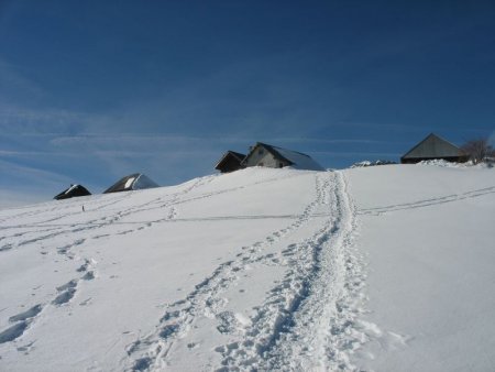 Chalets de La Fullie (alt. 1.380 m)
