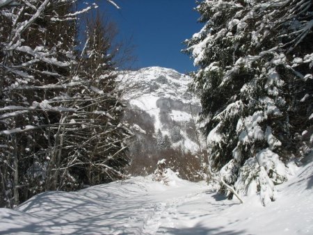 Sentier de montée - Mont Trélod (face W) alt. 2.181 m