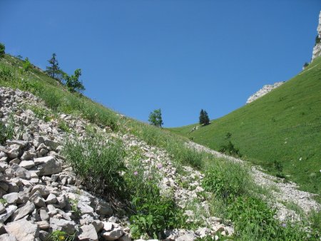Le vallon au bas de l’Alpage de Léchaud